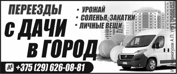 ПЕРЕЕЗДЫ, грузоперевозки. МОГИЛЕВ и район!!!, фотография 1