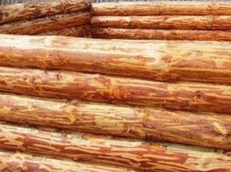 Деревянные срубы для бани, домов, беседок, фотография 4
