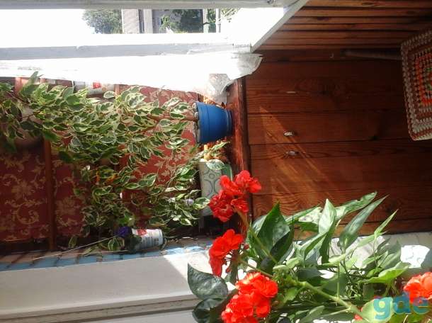 Продам 2-комнатную квартиру в центре Молодечно, Великий Гостинец, 72 Б, фотография 1