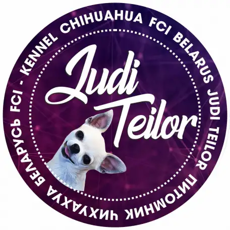 Питомник чихуахуа JudiTeilor FCI, фотография 1