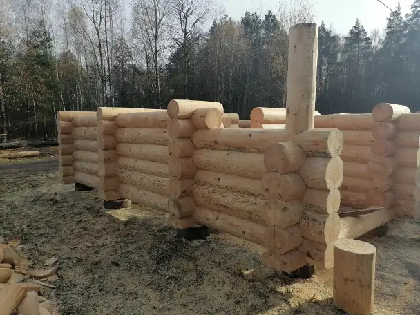 Сруб Дома бани из леса кругляка, фотография 4