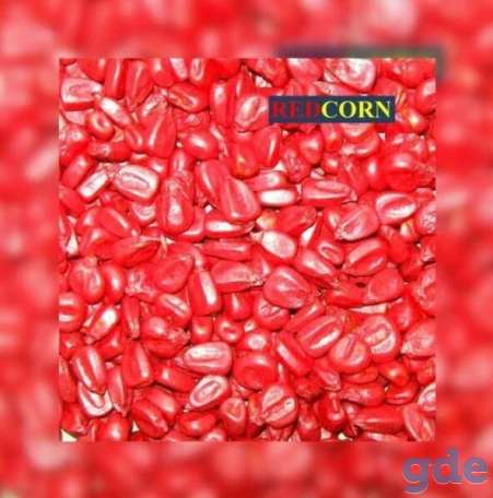 Краска для инкрустации семян, REDCORN, фотография 1