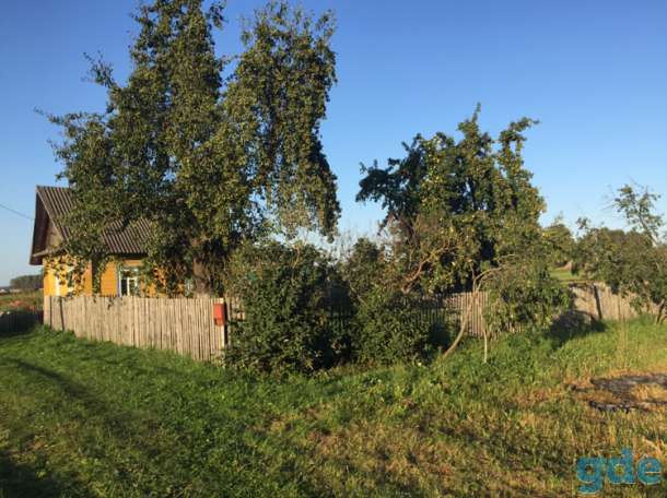 Продам Шкловский район Деревня Окуневка  Дом 33 кВ метра и земля 30 соток, фотография 5