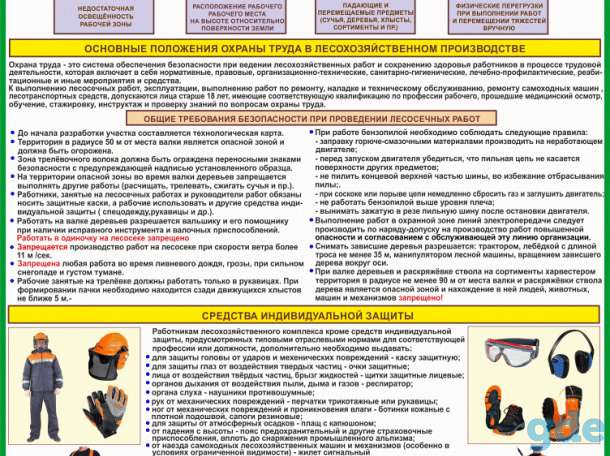 Плакаты Лесосечные работы комплект 6 плакатов, фотография 6