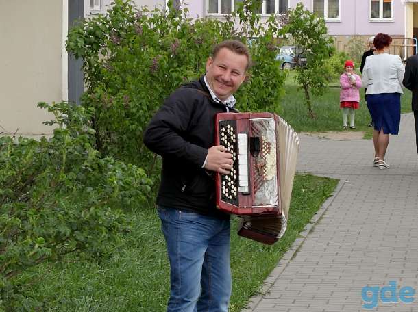 Аккордеон, фотография 2