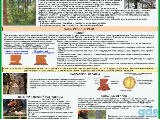 Плакаты Лесосечные работы комплект 6 плакатов, фотография 2