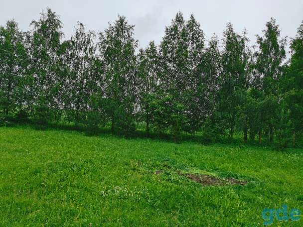 Продам участок под лпх, Район деревня Синило. Лугово-слободской с/с, фотография 2