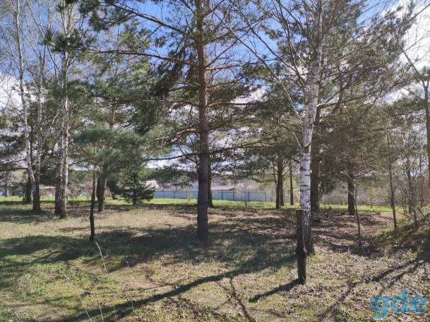 Продам участок в с/т. Криничное-94 (Столбцы), фотография 1