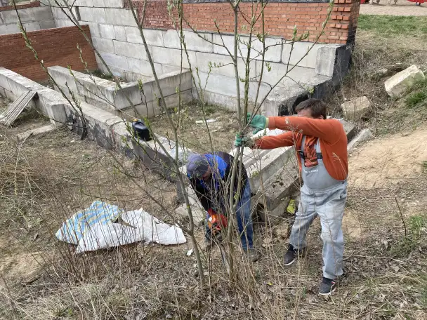 Услуги по вырезке деревьев, фотография 6