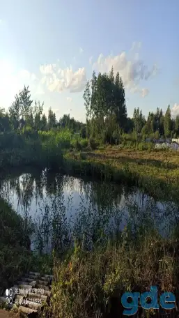 Дачный участок, Петушки Новики, фотография 3