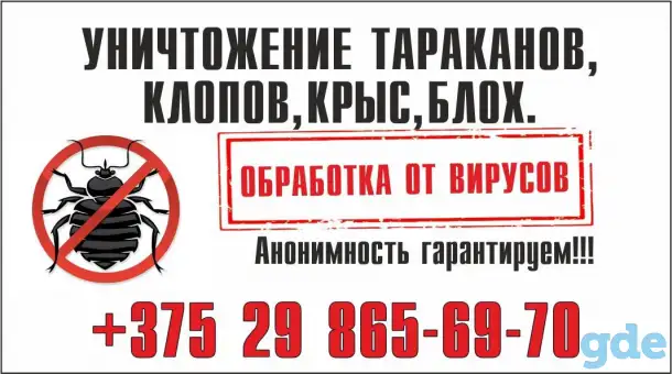 Услуга Дезинфектора., фотография 1