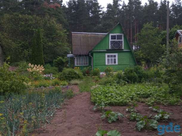 Продам дачу, СТ Родничок, Тарусичи, Гродненский район, фотография 2