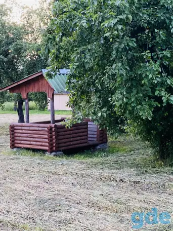 Продам усадьбу с баней беседкой на берегу озера, Витебская область, Поставский район, деревня Сурвилишки, улица Межозерная, 20б, фотография 14