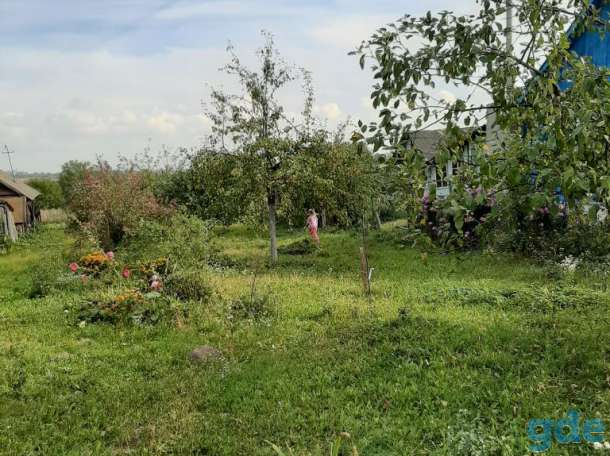 Дом для жизни, Гродненская область, Кореличский район, Оюцевичи, фотография 5