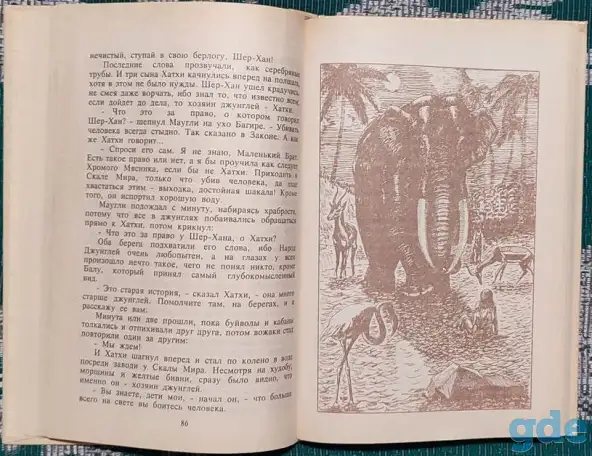 Редьярд Киплинг - Маугли, фотография 8