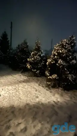 Аренда Дома Болотчицы, фотография 16