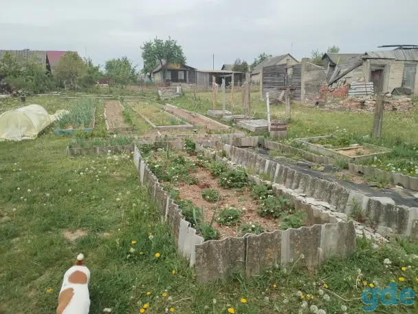 продам, Городея, фотография 3