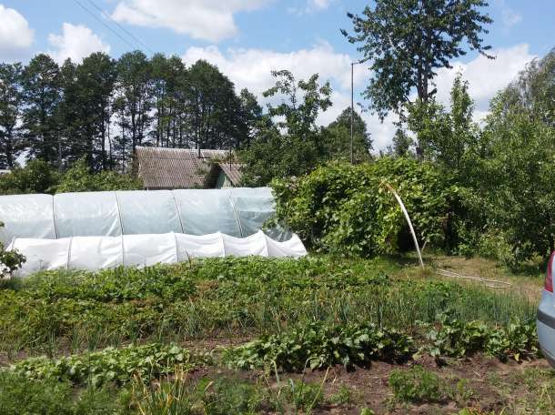 продам дачу, Пуховичский район, д. Барки, фотография 3