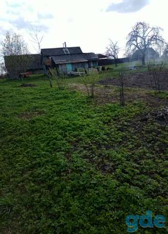 Участок на берегу Западной Двины 30 км от Витебска, фотография 6