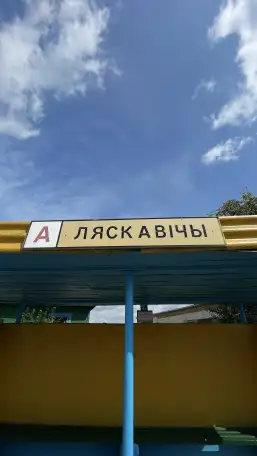 Дом в центре деревни, Брестская обл., Ивановский р-н, Лясковичский с/с, д. Лясковичи, ул. Советская, 7, фотография 20