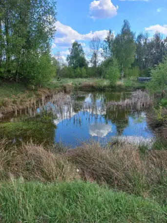 Продажа, Д.Оса район, фотография 3