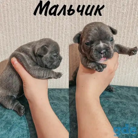 Французские булочки, фотография 10