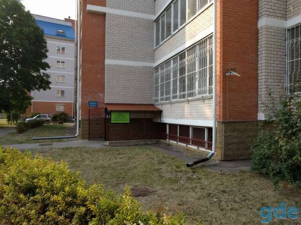 Ремонт электроинструмента, бытовой техники, телевизоров, фотография 1