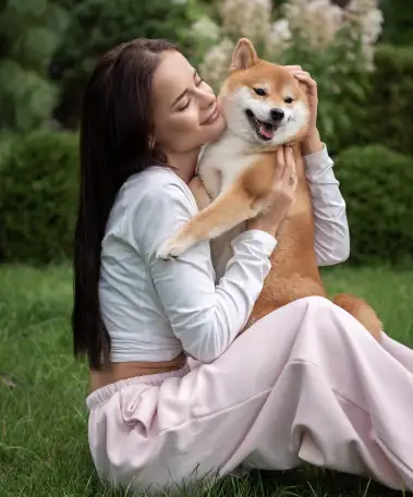 Щенки Сиба Ину, фотография 2