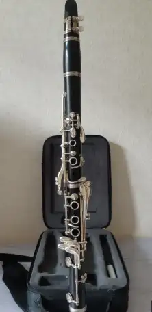 Кларнет Buffet Crampon Prodige, фотография 3