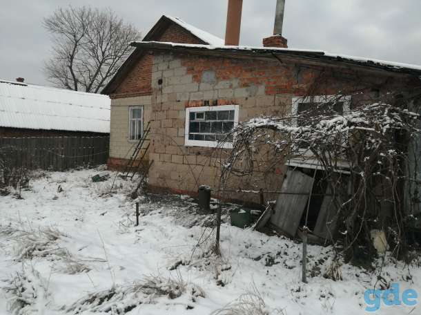 Частный дом, Гомельская область, Ветковский район, д Хальч, фотография 2