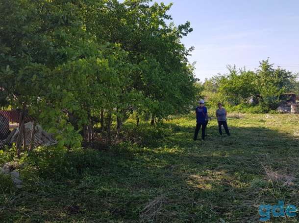 Продам участок в Фаниполе, фотография 2