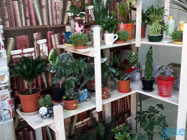 Продам цветочный магазин, Чкалова 20, фотография 1