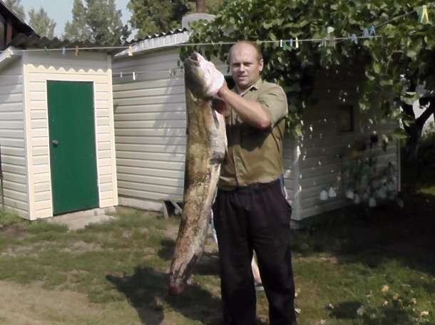 Квоки, фотография 2