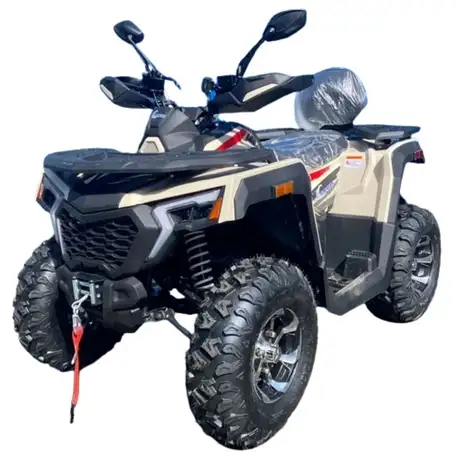 Квадроцикл racer ranger 250, фотография 8