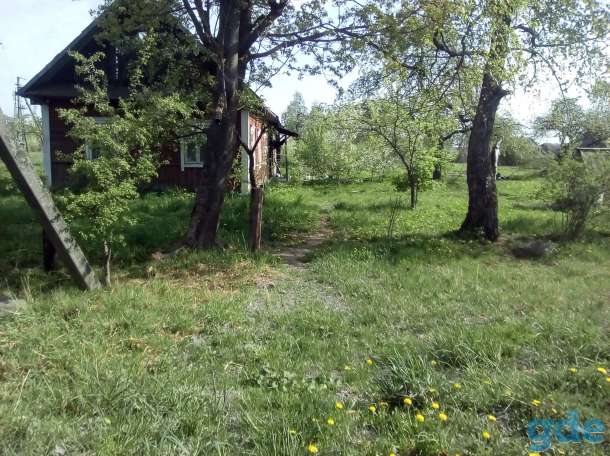 Дом под снос и участок 25 соток для строительства нового дома, фотография 3