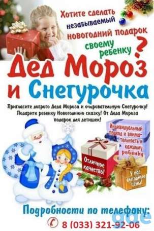 Дед мороз со снегурочкой на дом Орша, фотография 1