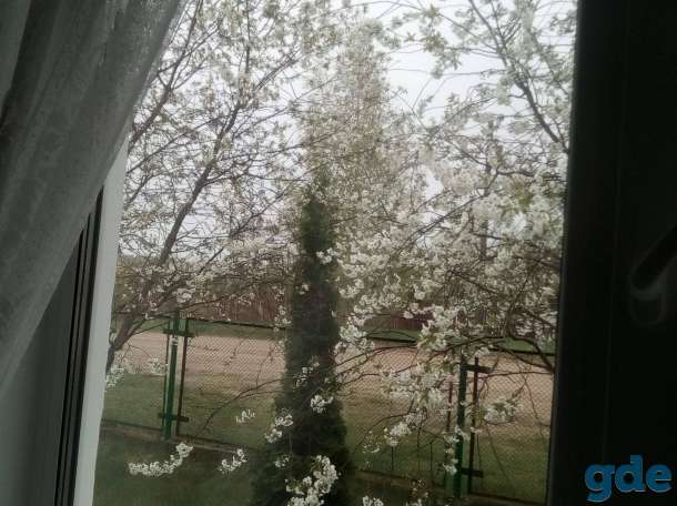 Продам дом, фотография 6