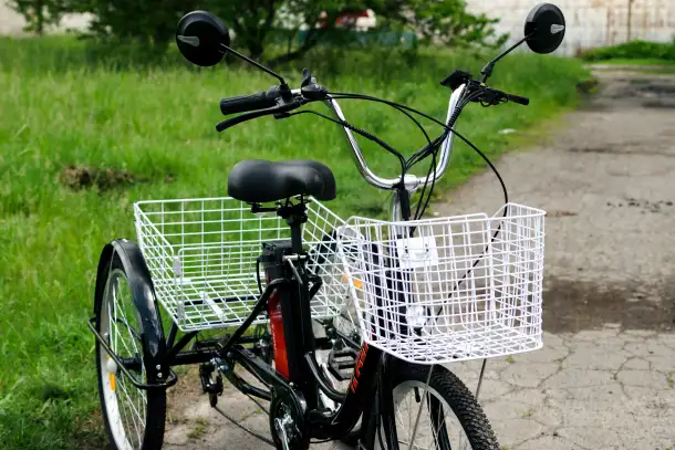 Электровелосипед AVM E-ALFA TRIKE 24, фотография 11