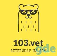Вызов ветеринара на дом в Минске и Минском районе, фотография 1