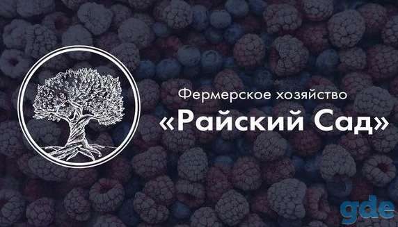 Шоковая Заморозка, фотография 1