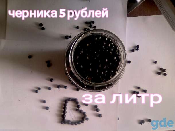 Черника, фотография 2