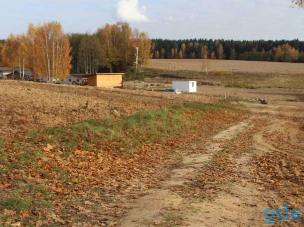 фермерское хозйство, фотография 8