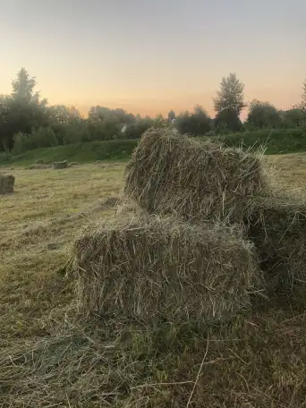 продам сено, фотография 2