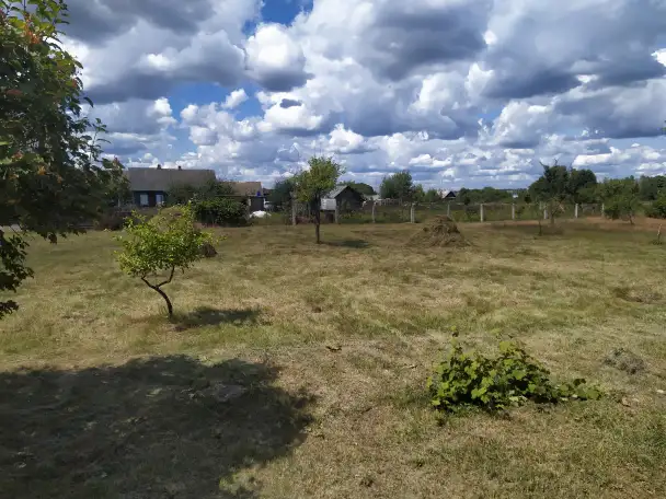 Дом с приусадебным участком в д. Солон Стародорожский район, фотография 11