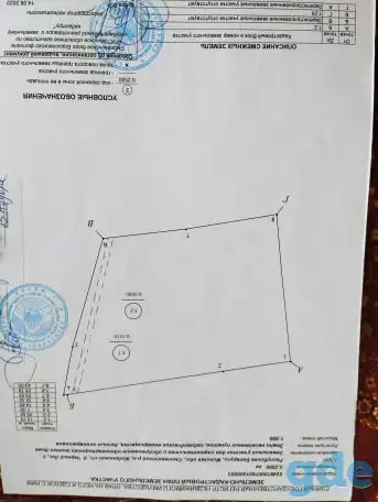 Участок 25 сот в д.Черный лес, фотография 2