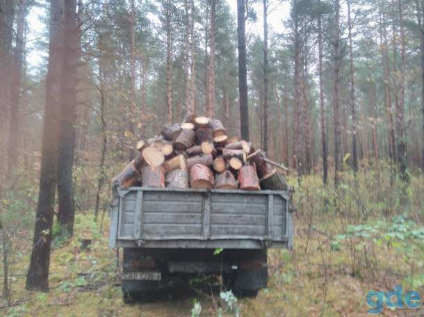 Дрова, фотография 1