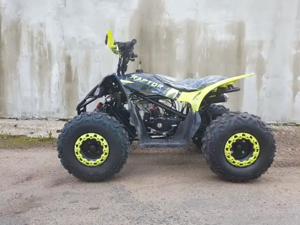 Квадроцикл Motoland 125 RAPTOR NEW, фотография 2