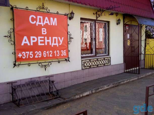 Сдам в аренду 46 кв.м., фотография 1