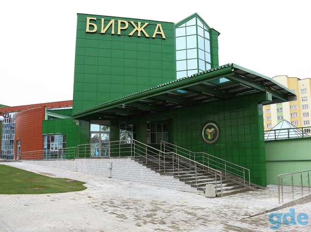 Сдается офисное помещение в субаренду в центре Гродно, фотография 5