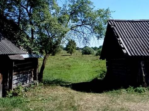 дом в деревне, Гомельская обл., Лельчицкий р-н, Милошевичи, фотография 5
